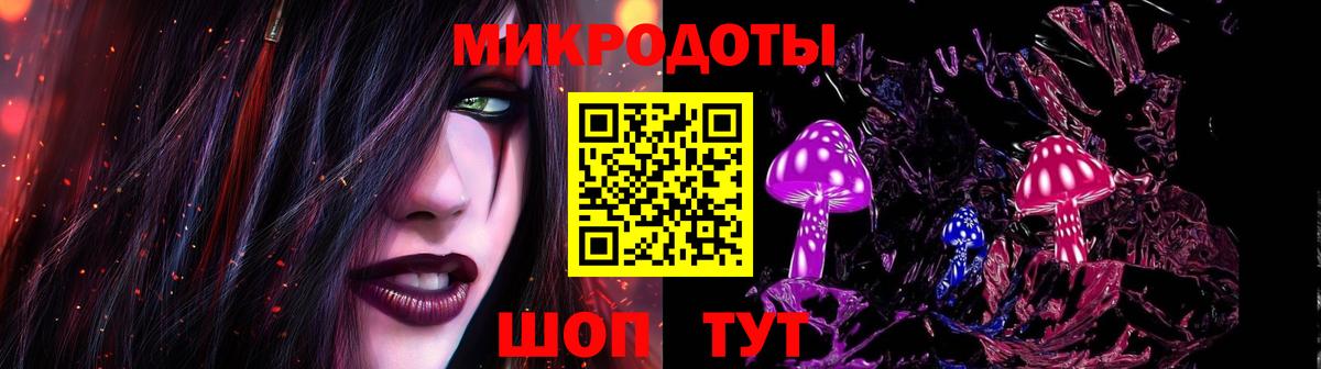 Павловский Посад  Галлюциногенные грибы Psilocybe  Вход с VPN 